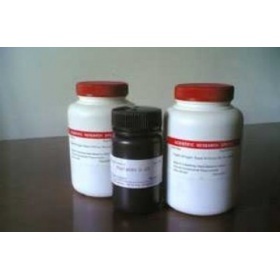 丙烯葡聚糖凝膠S-200 HR 上海研生實業的優質產品選擇